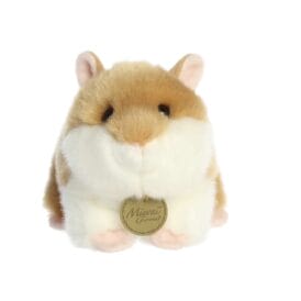 Aurora: Miyoni- Syrian Golden Hamster